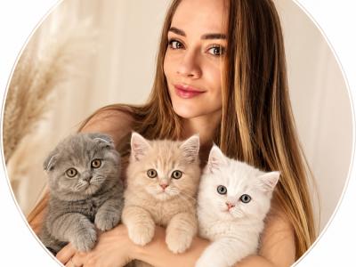 Vera - Cat Breeder - Orlando&comma; FL&comma; US