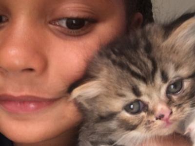 Ms Esther - Cat Breeder - Alpharetta&comma; GA&comma; US