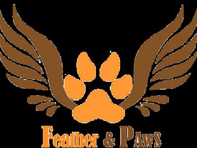 Ali - Cat Breeder - Ozone Park&comma; NY&comma; US