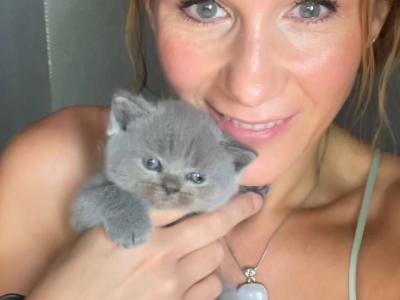 Fawn Byrd - Cat Breeder - Okc, OK, US Fawn Byrd - Cat Breeder - Okc, OK, US