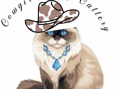 Tamara - Cat Breeder - Cookeville, TN, US Tamara - Cat Breeder - Cookeville, TN, US