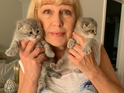 Elena - Cat Breeder - New York, NY, US Elena - Cat Breeder - New York, NY, US