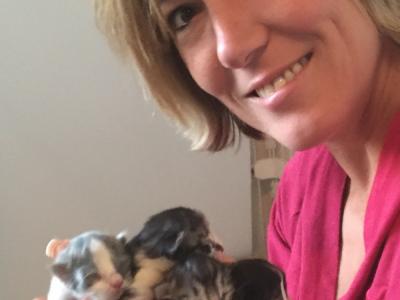 Michele B - Cat Breeder - Tygh Valley&comma; OR&comma; US