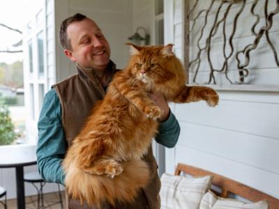 Justin - Cat Breeder - Sugar Valley&comma; GA&comma; US
