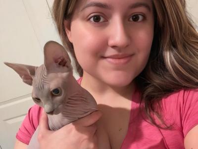 Amanda - Cat Breeder - Orlando&comma; FL&comma; US