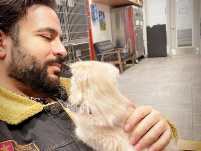 Tarrk - Cat Breeder - Fairview&comma; NJ&comma; US