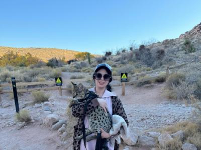 Andrea Elizabeth - Cat Breeder - NV&comma; US