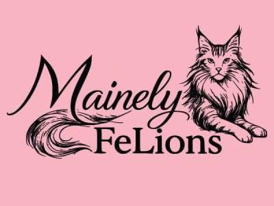 Sydney - Cat Breeder - Rainier&comma; OR&comma; US