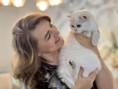 Avery Fluffy Joy - Cat Breeder - Clearwater&comma; FL&comma; US