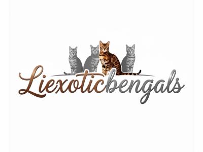 Brian - Cat Breeder - Holbrook&comma; NY&comma; US