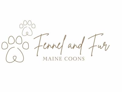 Danielle - Cat Breeder - Villa Rica&comma; GA&comma; US