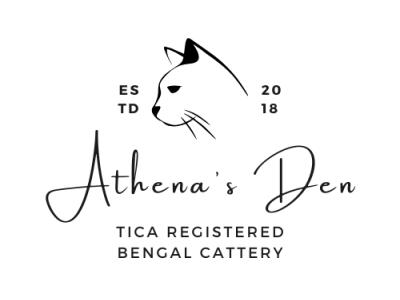 Athena's Den - Cat Breeder - Florence&comma; SC&comma; US