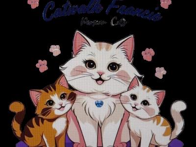 Celeste - Cat Breeder - Lacey, WA, US Celeste - Cat Breeder - Lacey, WA, US