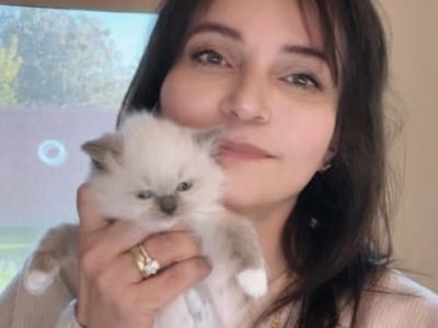 Hala Shams - Cat Breeder - Gilbert, AZ, US Hala Shams - Cat Breeder - Gilbert, AZ, US