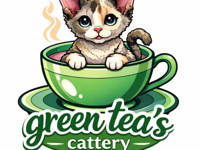 Green_Teas_Cattery - Cat Breeder - CA, US Green_Teas_Cattery - Cat Breeder - CA, US