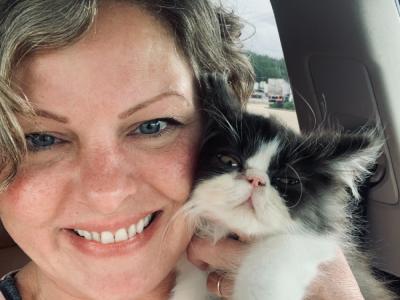 Woodland - Cat Breeder - Sylacauga&comma; AL&comma; US