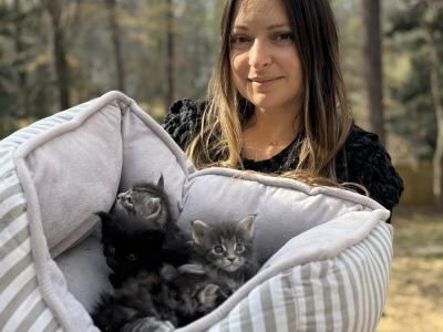 Marina - Cat Breeder - ATL, GA, US Marina - Cat Breeder - ATL, GA, US