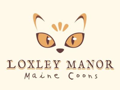 LoxleyManorMaineCoon - Cat Breeder - Moscow Mills&comma; MO&comma; US