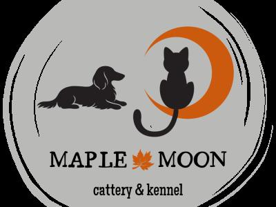 Maple Moon Cattery - Cat Breeder - Brave&comma; PA&comma; US