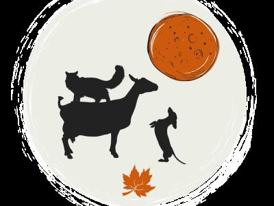 Maple Moon Cattery - Cat Breeder - Brave&comma; PA&comma; US