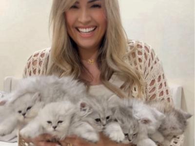 Vanessa - Cat Breeder - Goodyear&comma; AZ&comma; US