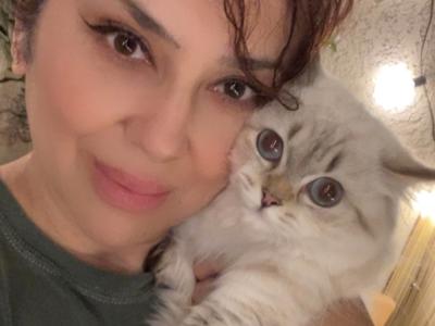 Mery - Cat Breeder - Canyon Cntry&comma; CA&comma; US