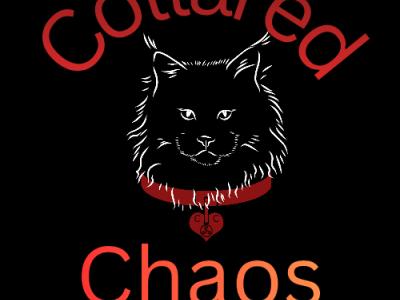 CollaredChaosCattery - Cat Breeder - Spokane&comma; WA&comma; US