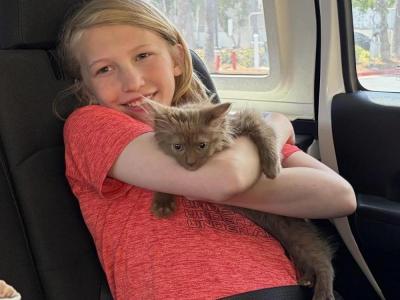 Angela - Cat Breeder - Burton&comma; MI&comma; US