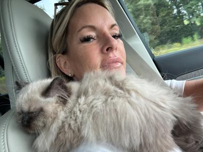 Hailey - Cat Breeder - Salem&comma; VA&comma; US