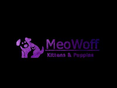 MEOWOFF - Cat Breeder - Wood Dale&comma; IL&comma; US